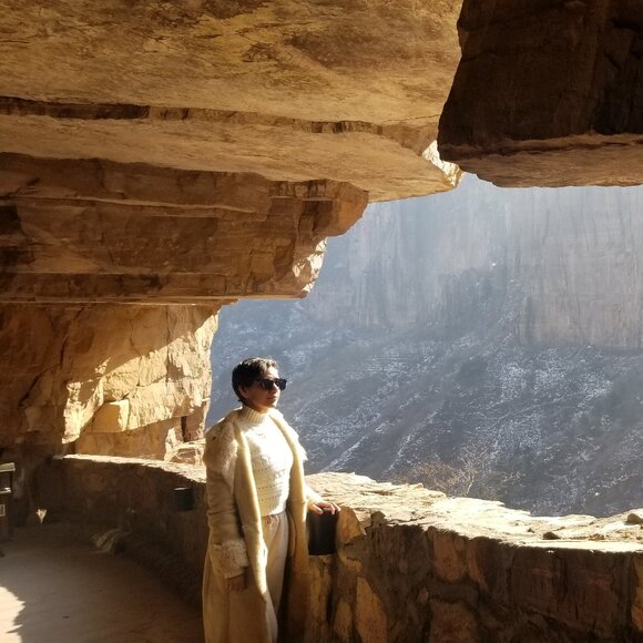 Danier Shearling Suede Coat - Picture 13 of 14